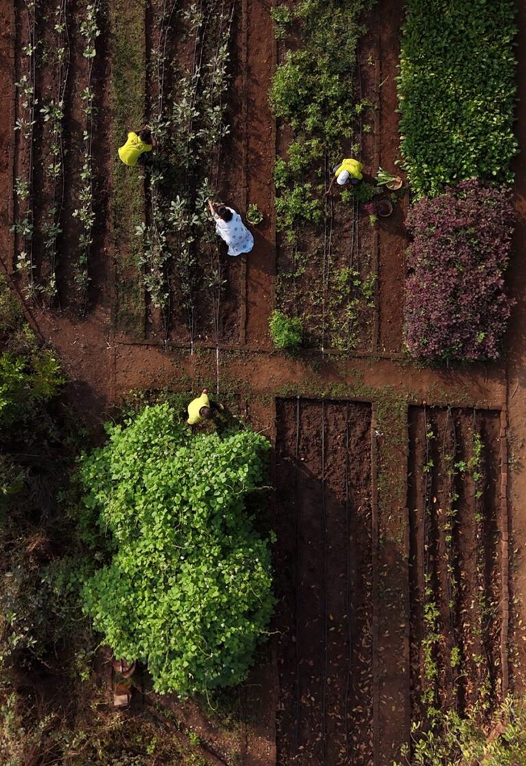 FARMING_894X1300
