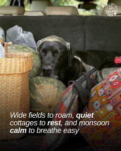 pet friendly farmstay near Pune