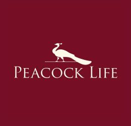 Peacock life logo