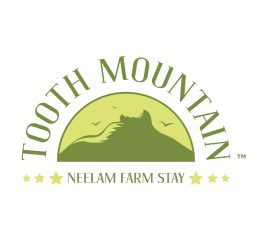 Toothmountain logo
